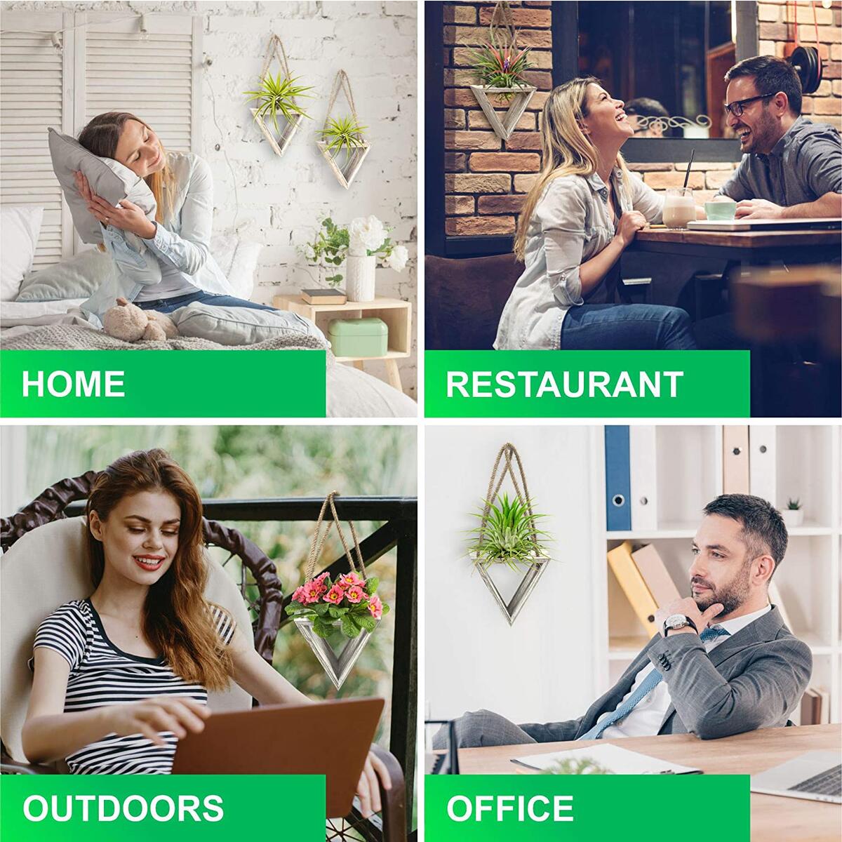 Air Plant Holder Cashback - RebateKey