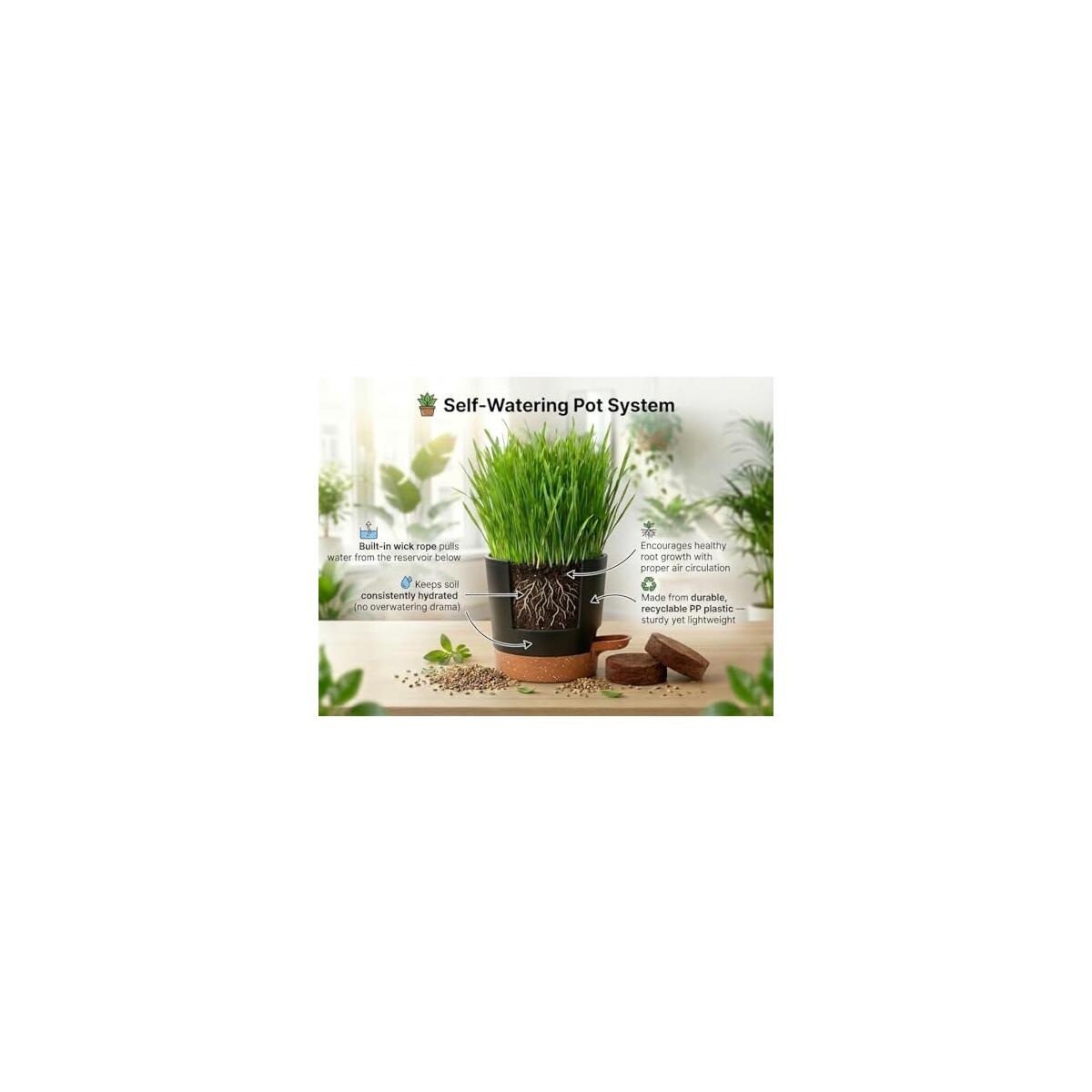 Cat Grass Kit 7 Cashback Rebates - RebateKey