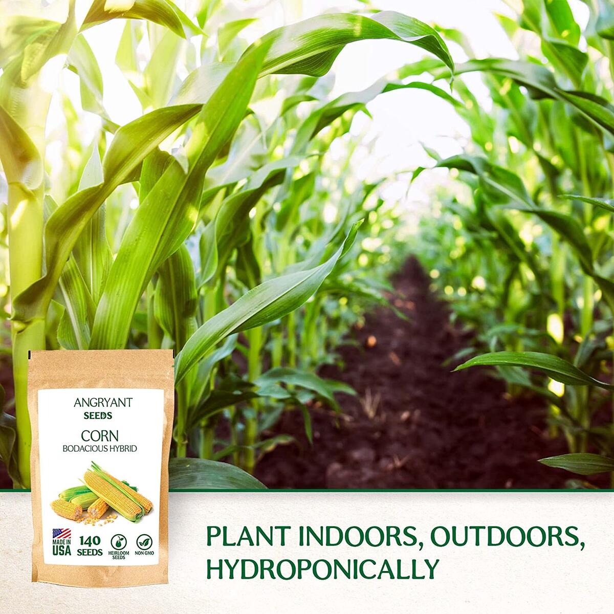 Corn Seeds Cash Back - RebateKey