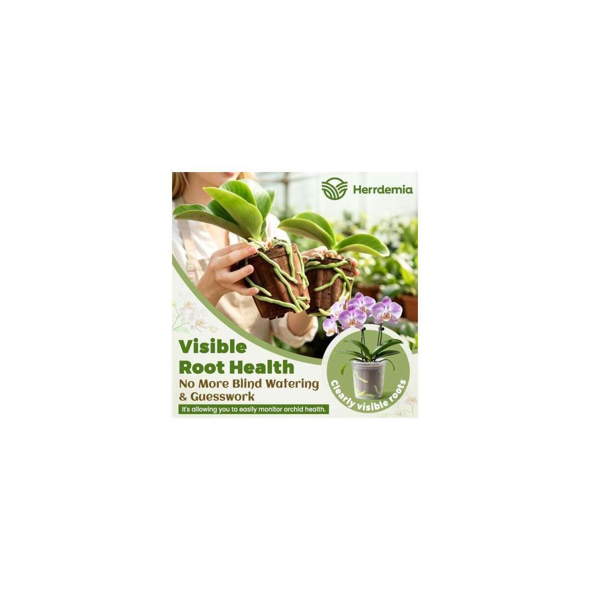 Orchid Potting Mix 1 Rebate - RebateKey