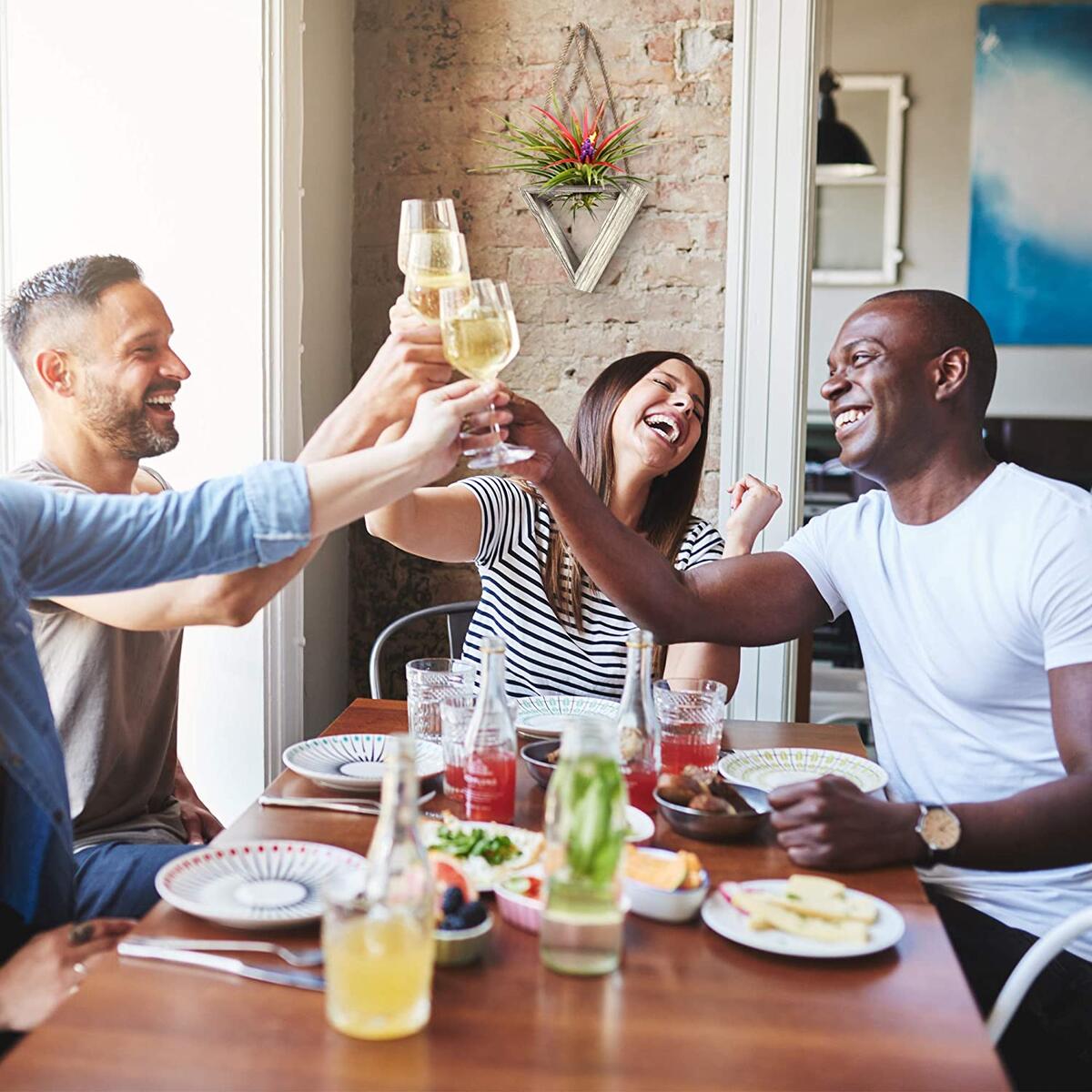 Air Plant Holder Cashback - RebateKey