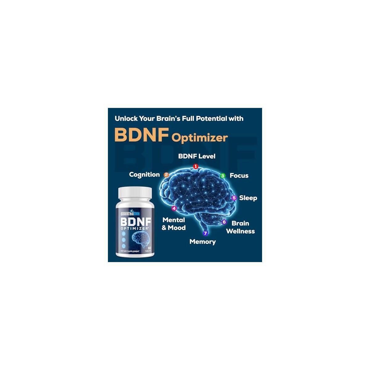 Nootropic Brain Supplement 1 Cash Back - RebateKey