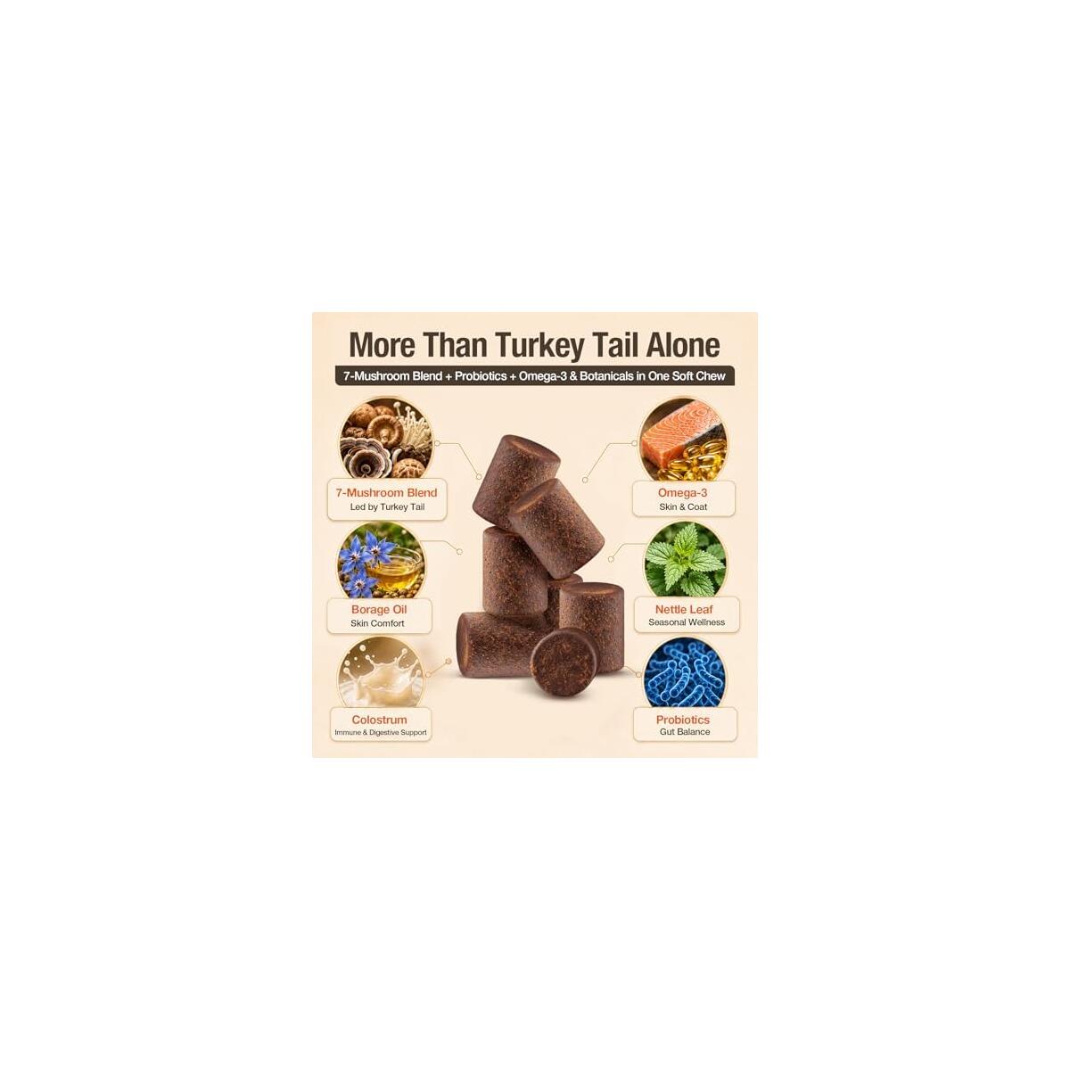 Turkey Tail Mushroom For Dogs Rebate - RebateKey