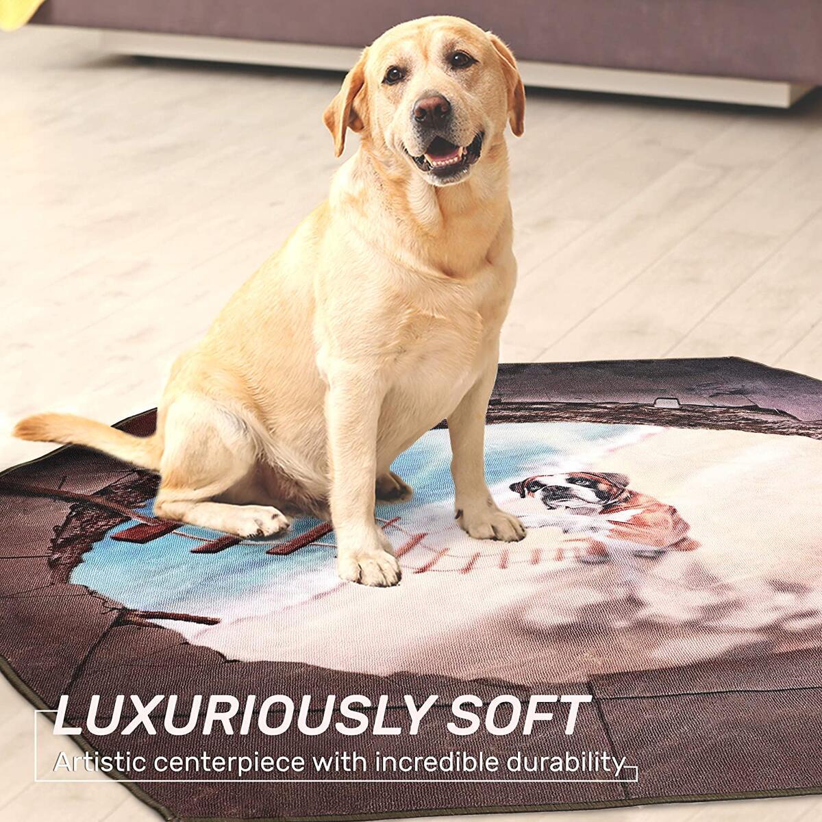 Nylon Rug Cashback Rebates - RebateKey