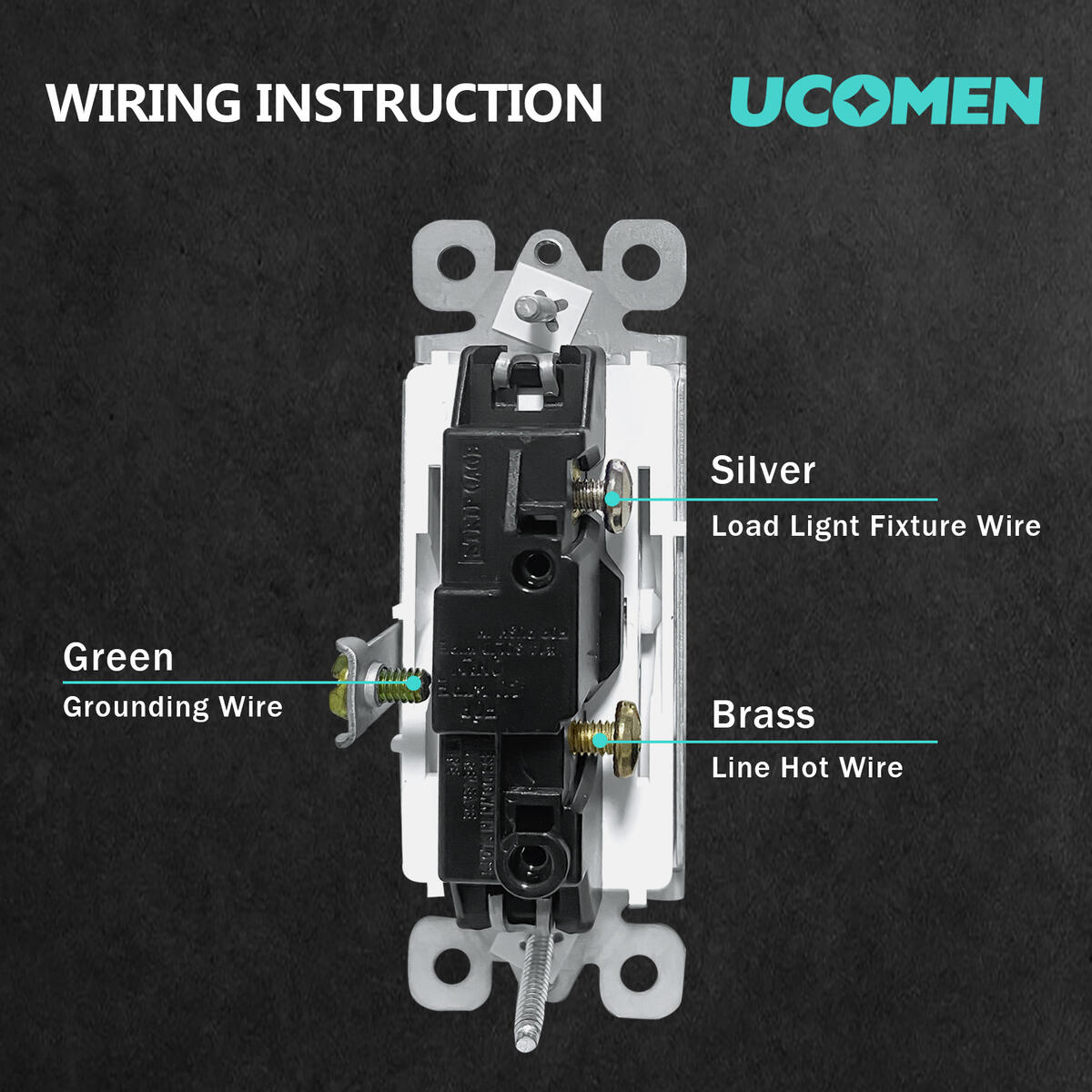 Decorator Paddle Rocker Cash Back - RebateKey