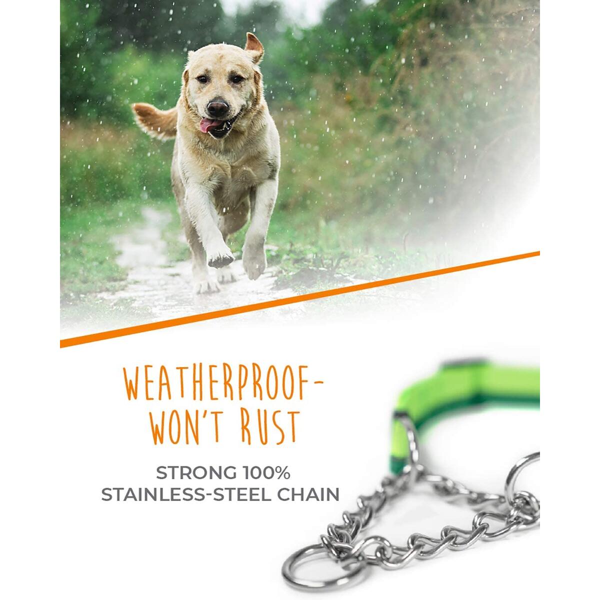 Martingale Collars For Dogs Rebates - RebateKey