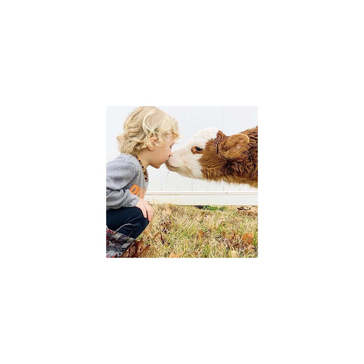 Amber Teething Necklace Rebates - RebateKey