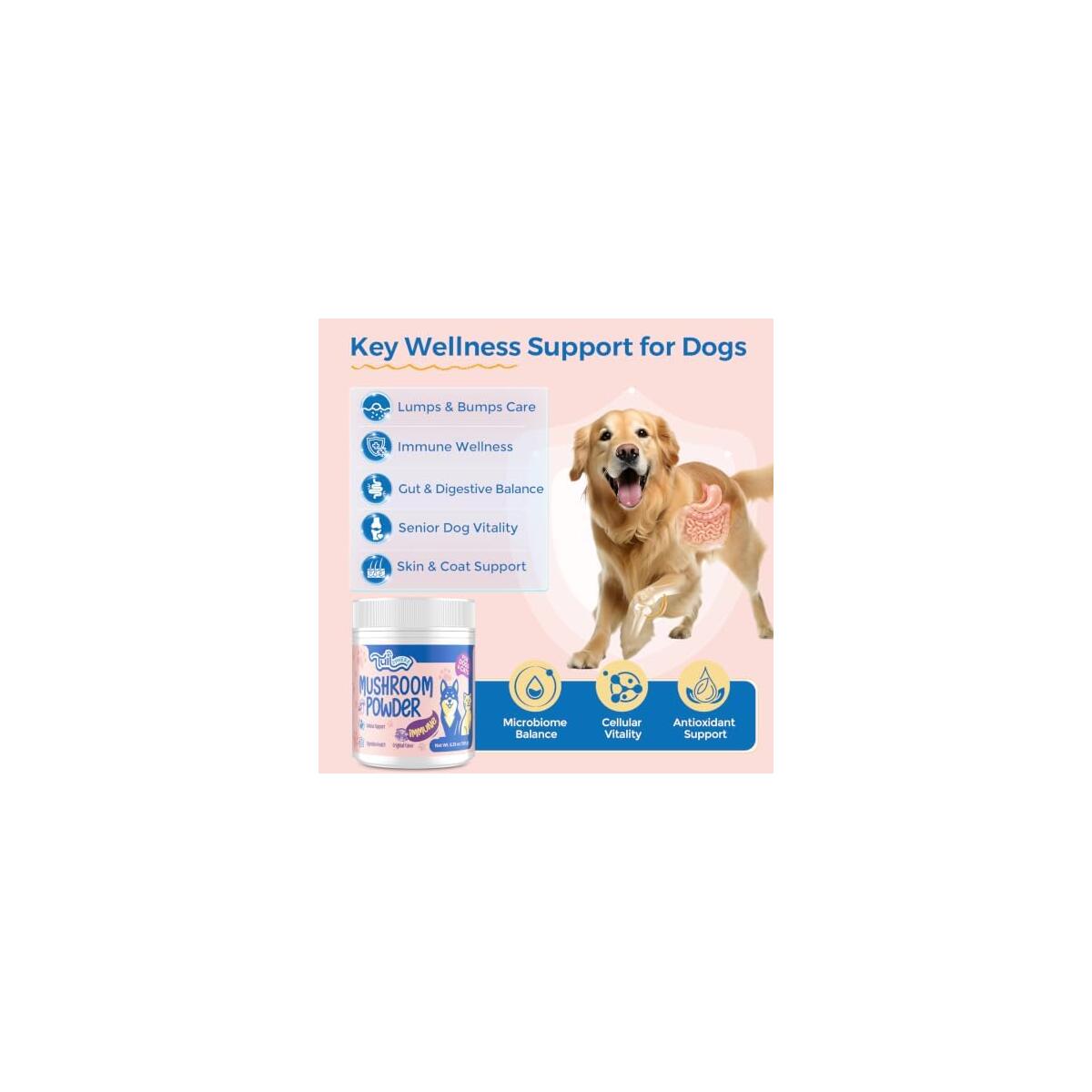 Turkey Tail Mushroom For Dogs Cats 1 Cash Back - RebateKey