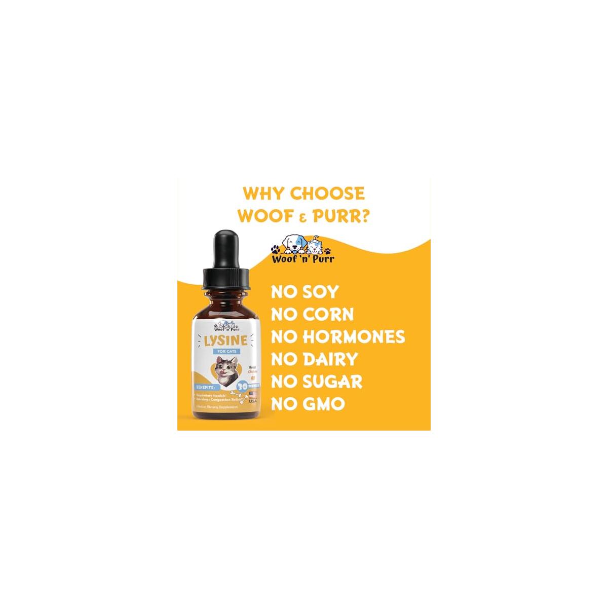 L Lysine For Cats Rebate - RebateKey