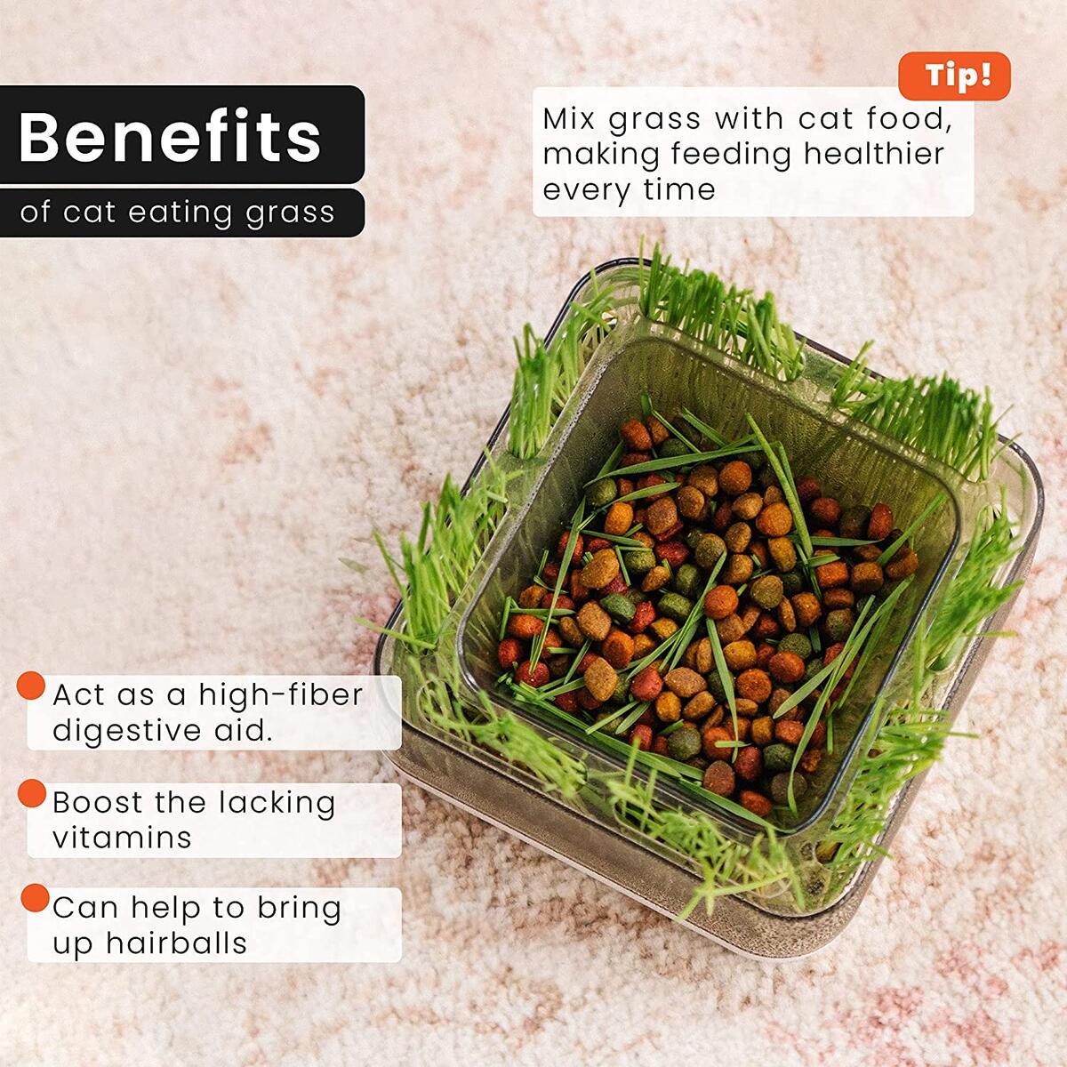 Cat Bowls With Cat Grass Rebates - RebateKey