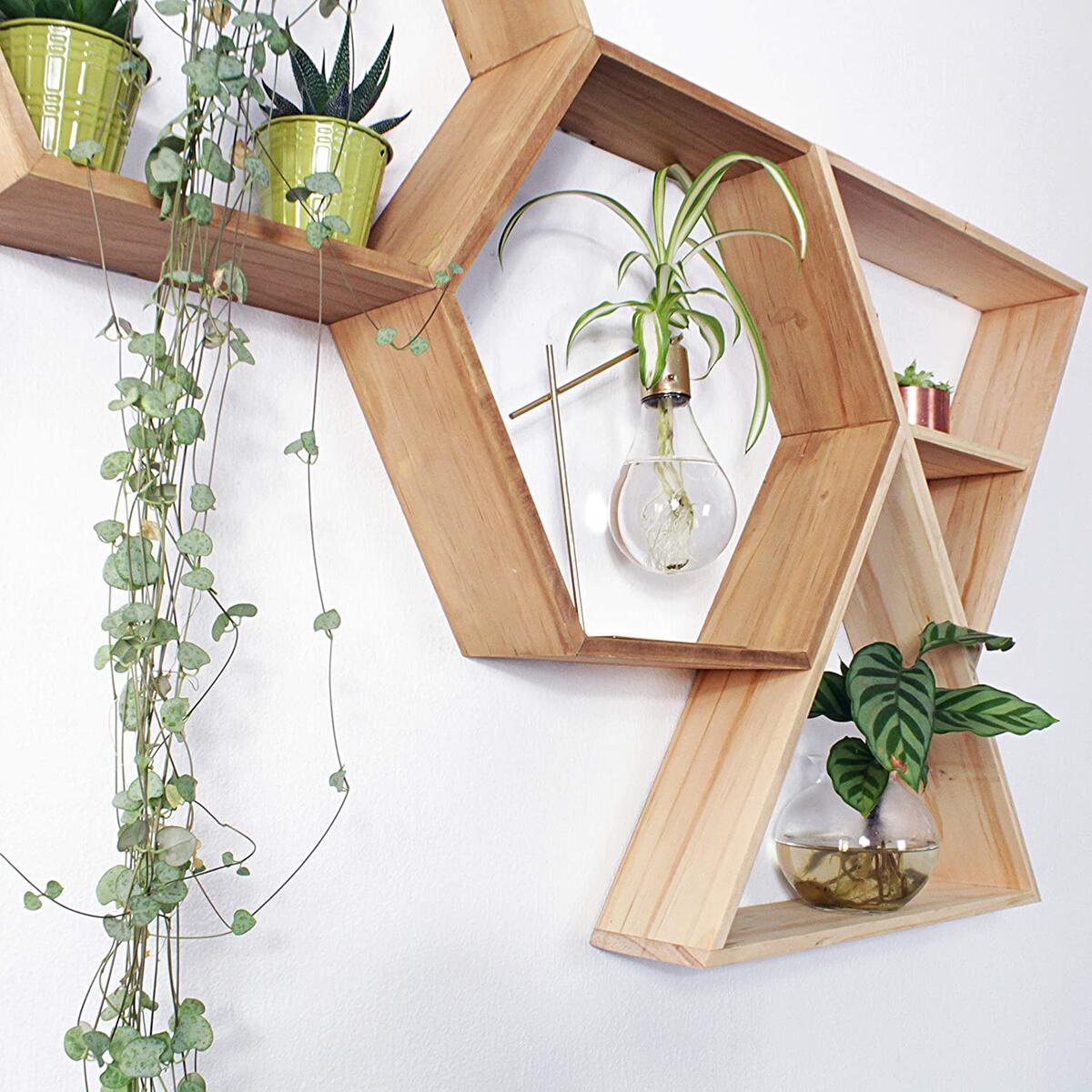 Triangle Shelves Rebates - RebateKey