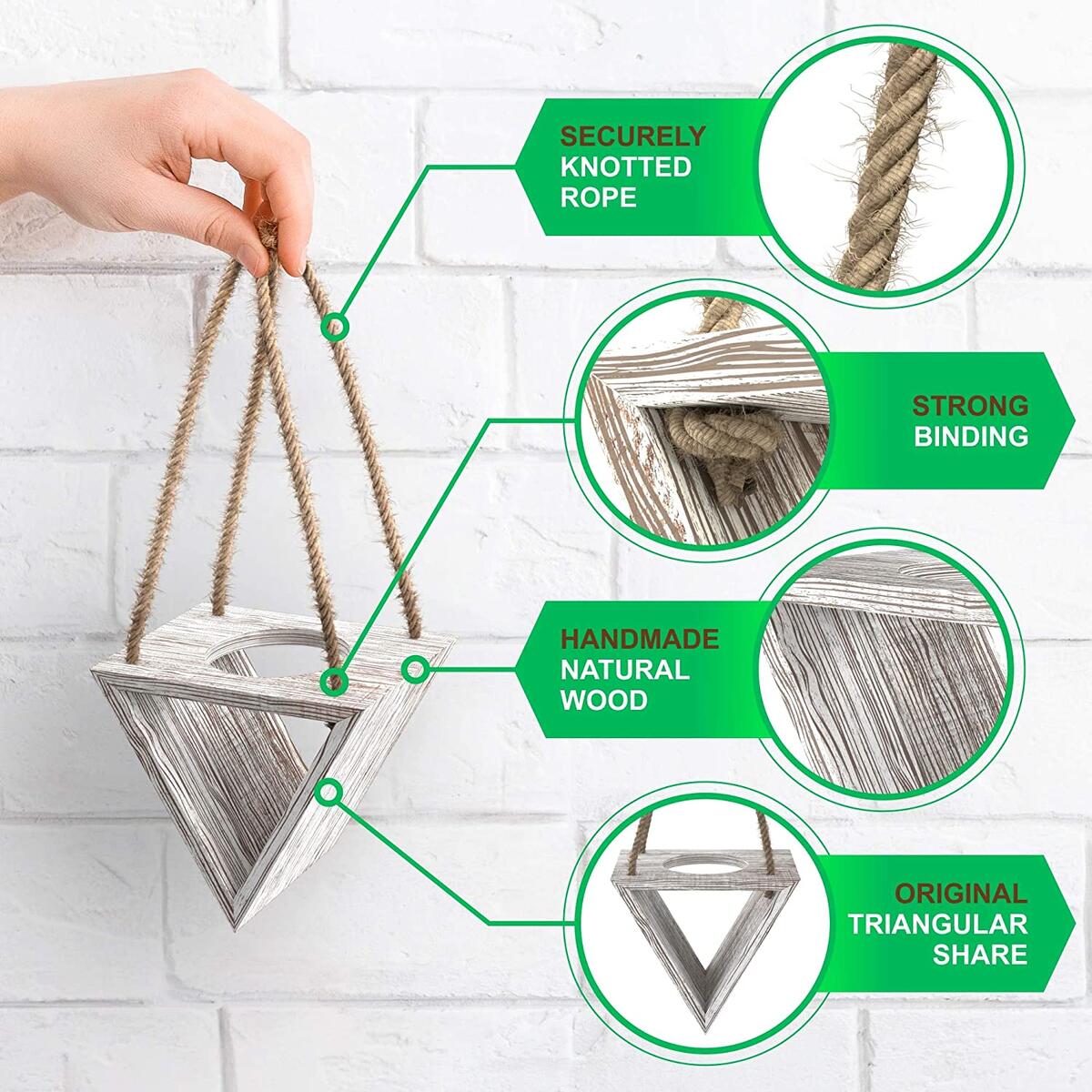 Air Plant Holder Cashback - RebateKey