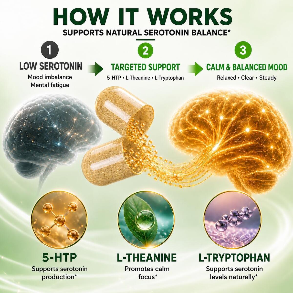 Serotonin Supplement 2 Cashback Rebate - RebateKey