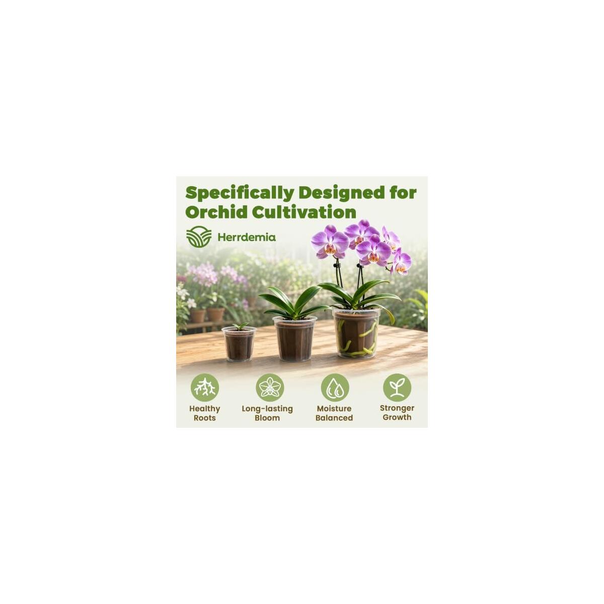 Orchid Potting Mix 1 Rebate - RebateKey
