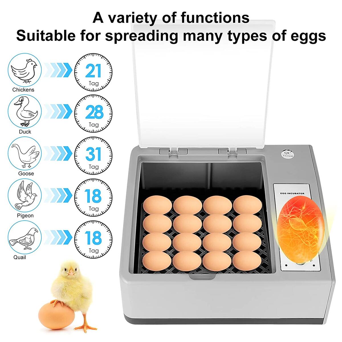 Egg Incubator Rebate - RebateKey