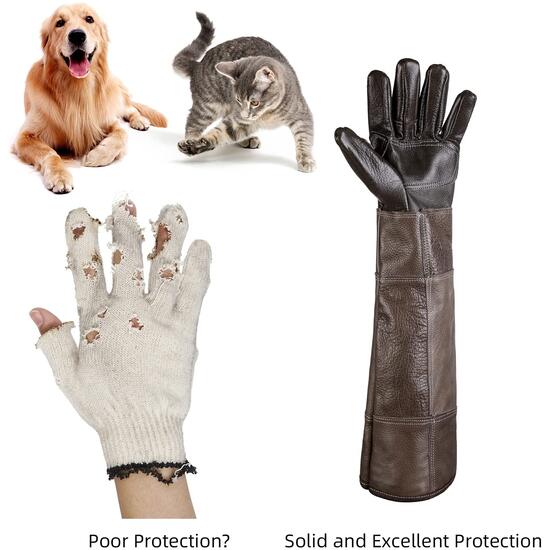 Bite Gloves Cash Back RebateKey