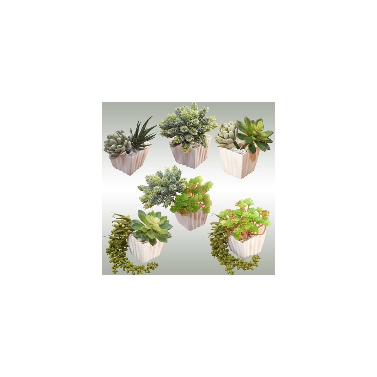 Fake Succulent Plants3 Cash Back - RebateKey