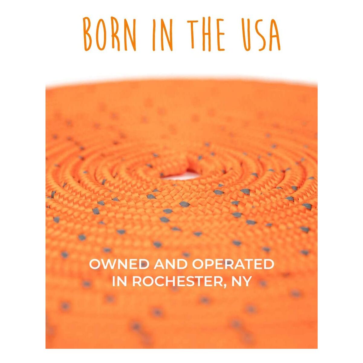 Mightypaw Check Cord Cashback Rebates - RebateKey