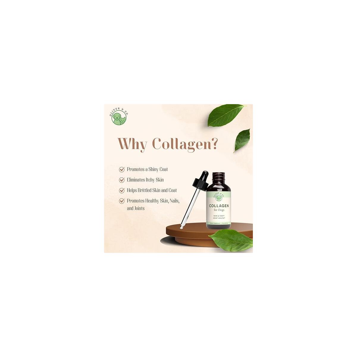Collagen For Dogs 19 Cashback Rebates - RebateKey