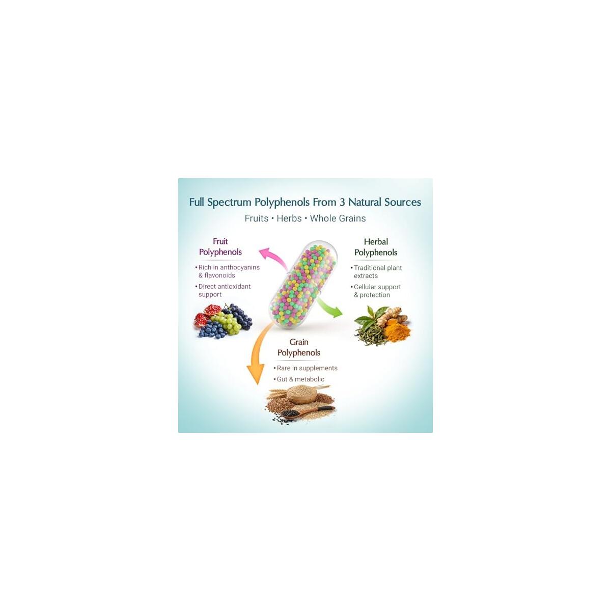 Polyphenols Cashback Rebate - RebateKey