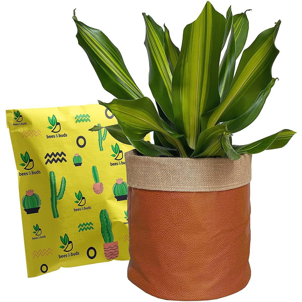 Plant Basket 6 Rebates - RebateKey