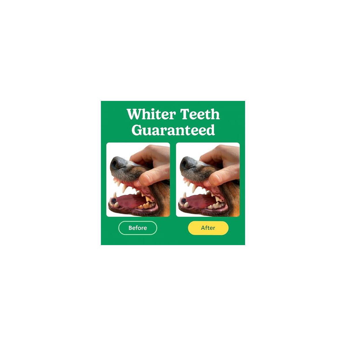 Dog Tooth Brushing Kit 3 Rebate - RebateKey