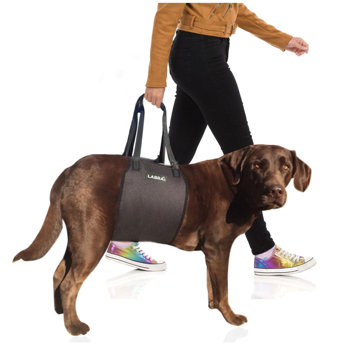 Dog Lifting Sling Rebates - RebateKey