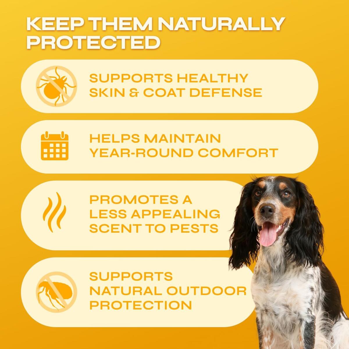 Flea Tick For Dogs Cashback Rebate - RebateKey