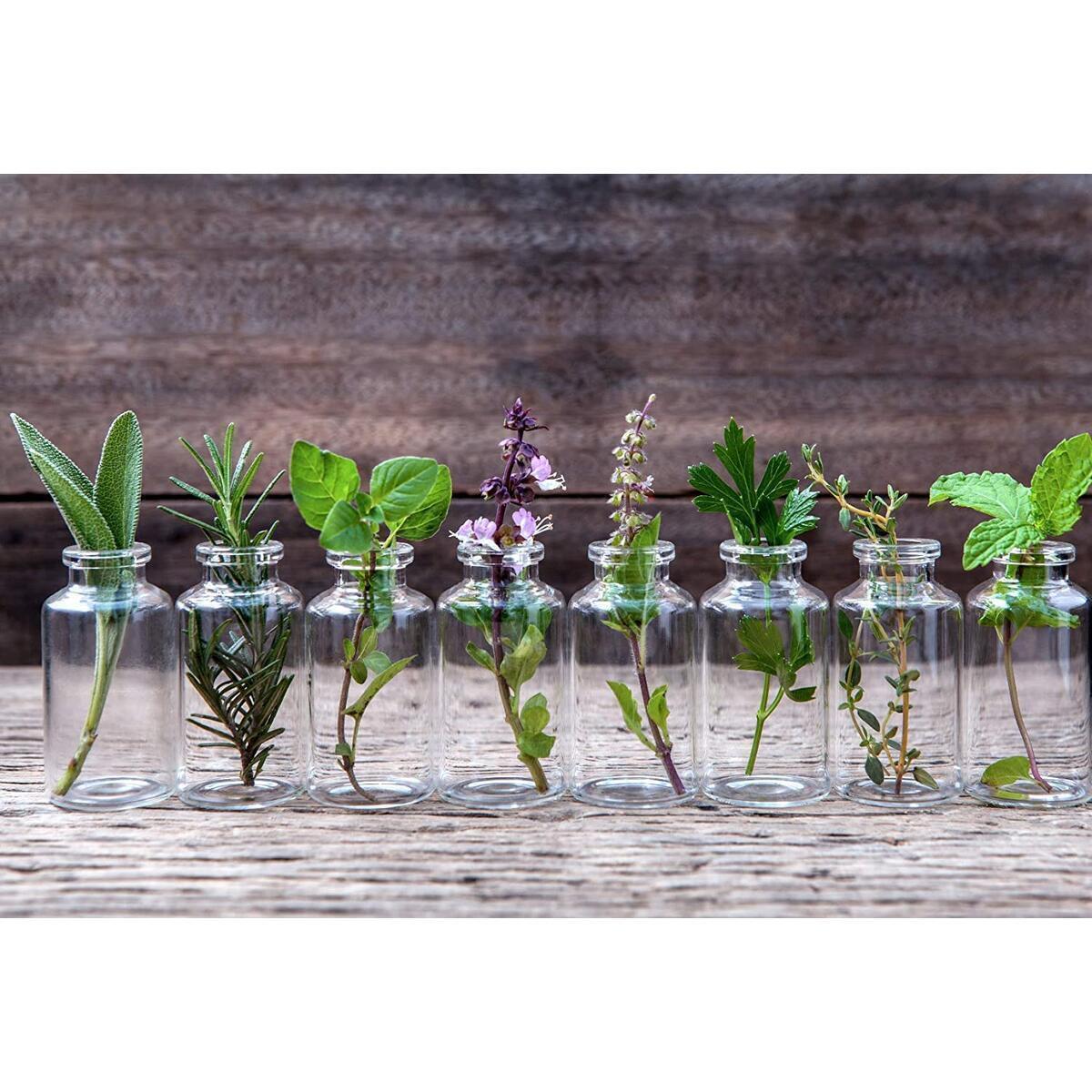 Night Serum 8 Cash Back - RebateKey