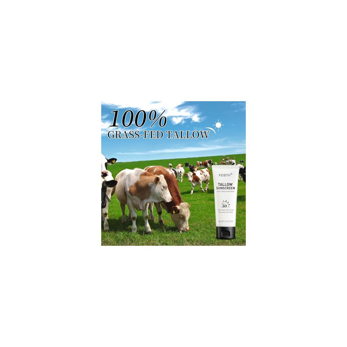 Beef Tallow Sunscreen Cashback - RebateKey