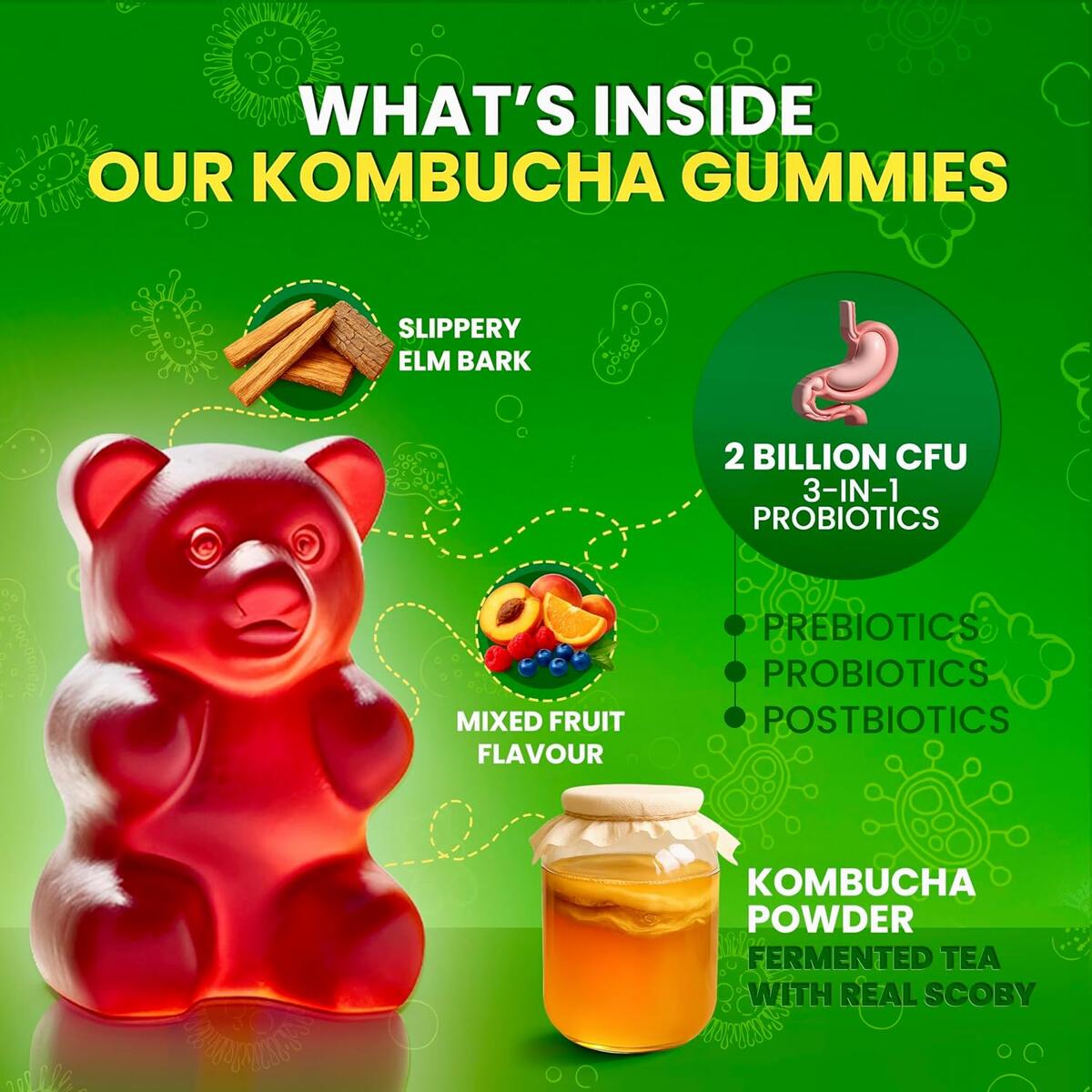 Kombucha Gummies Cashback Rebates - RebateKey