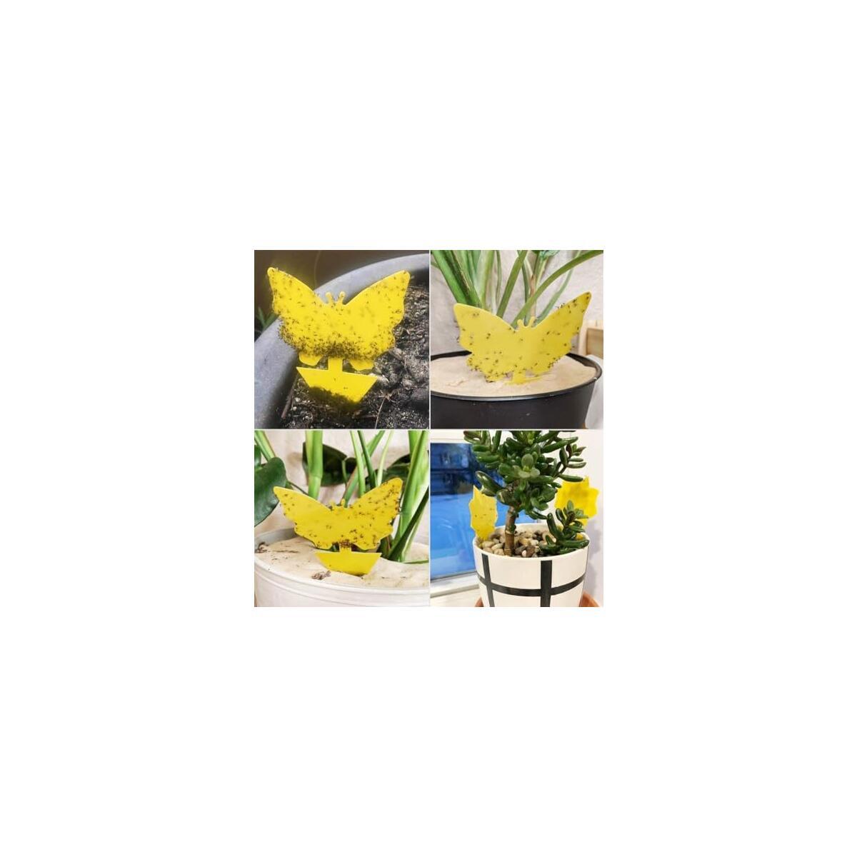 Sticky Insect Traps 40 Pcs Cash Back - RebateKey
