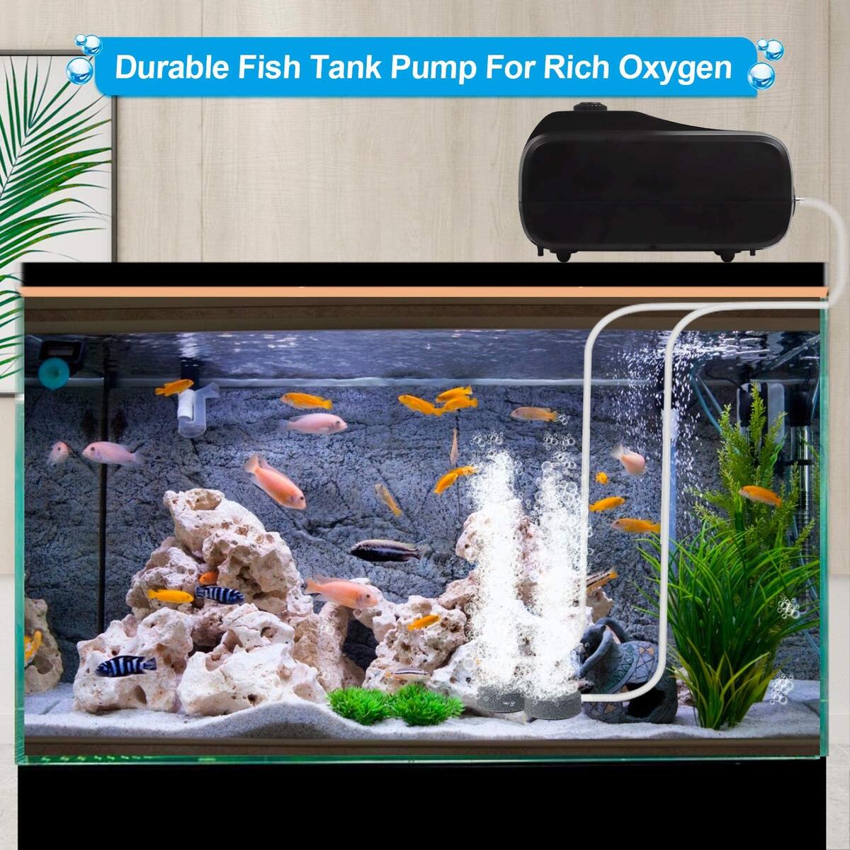 Fish Tank Air Pump Cashback Rebate - RebateKey