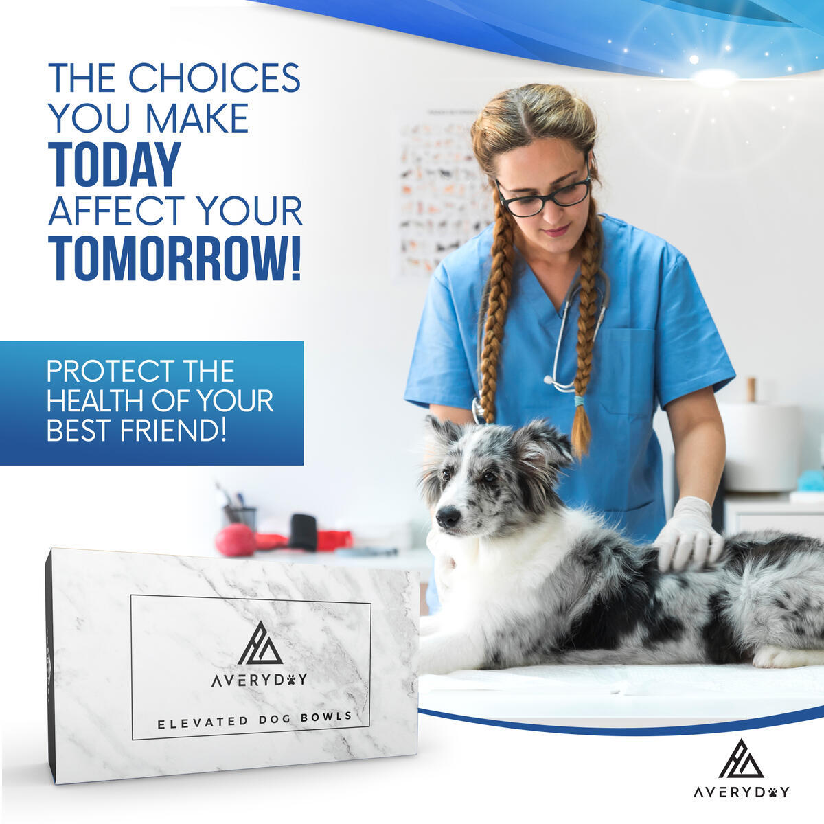 Elevated Dog Bowls 1 Cash Back - RebateKey