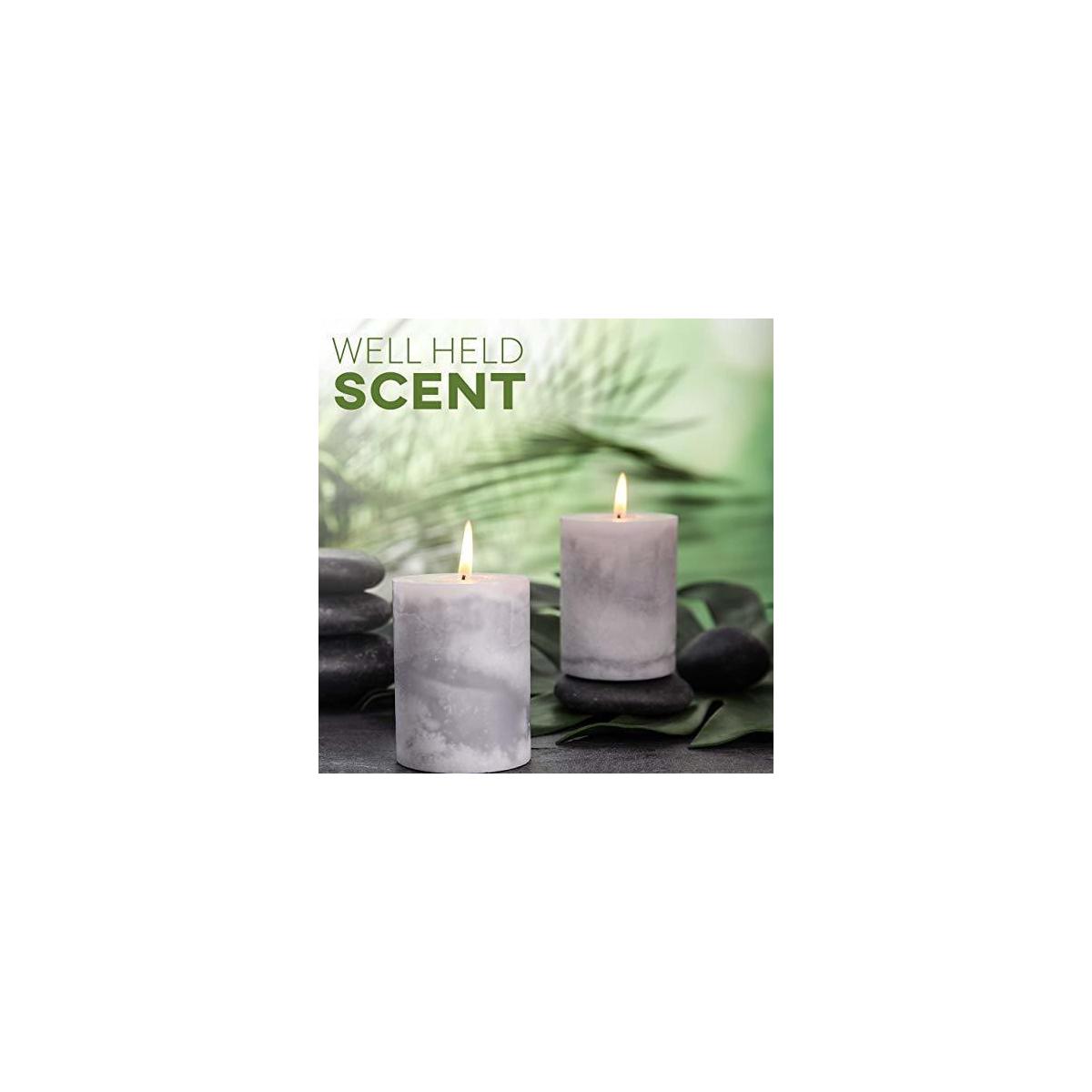 10lb Bag with 50ct 6/” Pre-Waxed Candle Wicks 3 Centering Device All-Natural /& RSPO Certified Hearts and Crafts Feathering Palm Candle Wax and Wicks for DIY Candle Making
