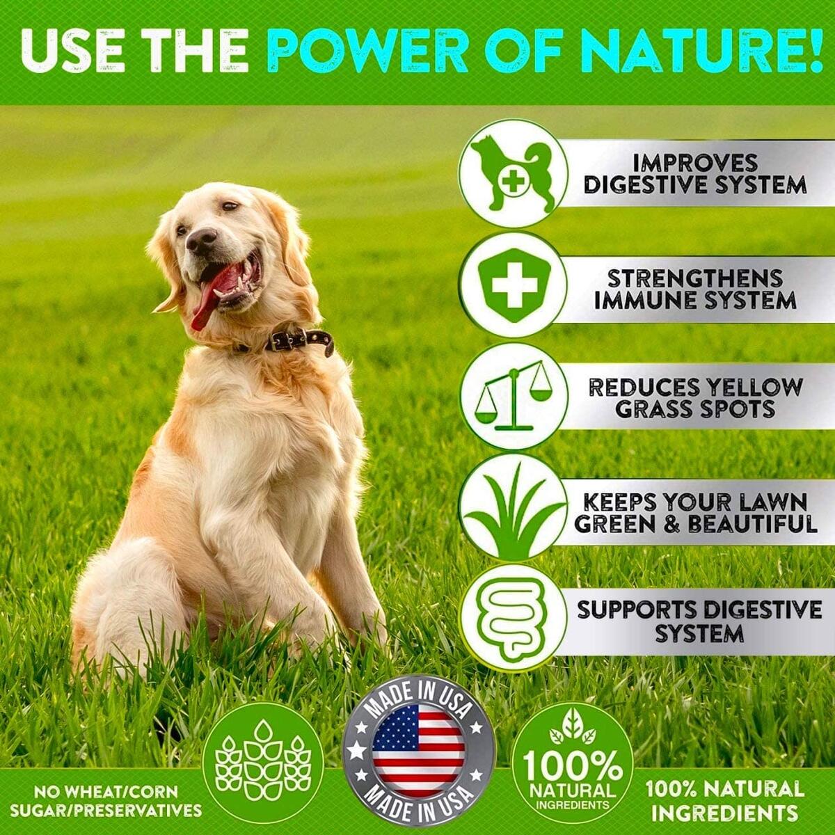 Dogs Digestive Enzymes Cashback - RebateKey