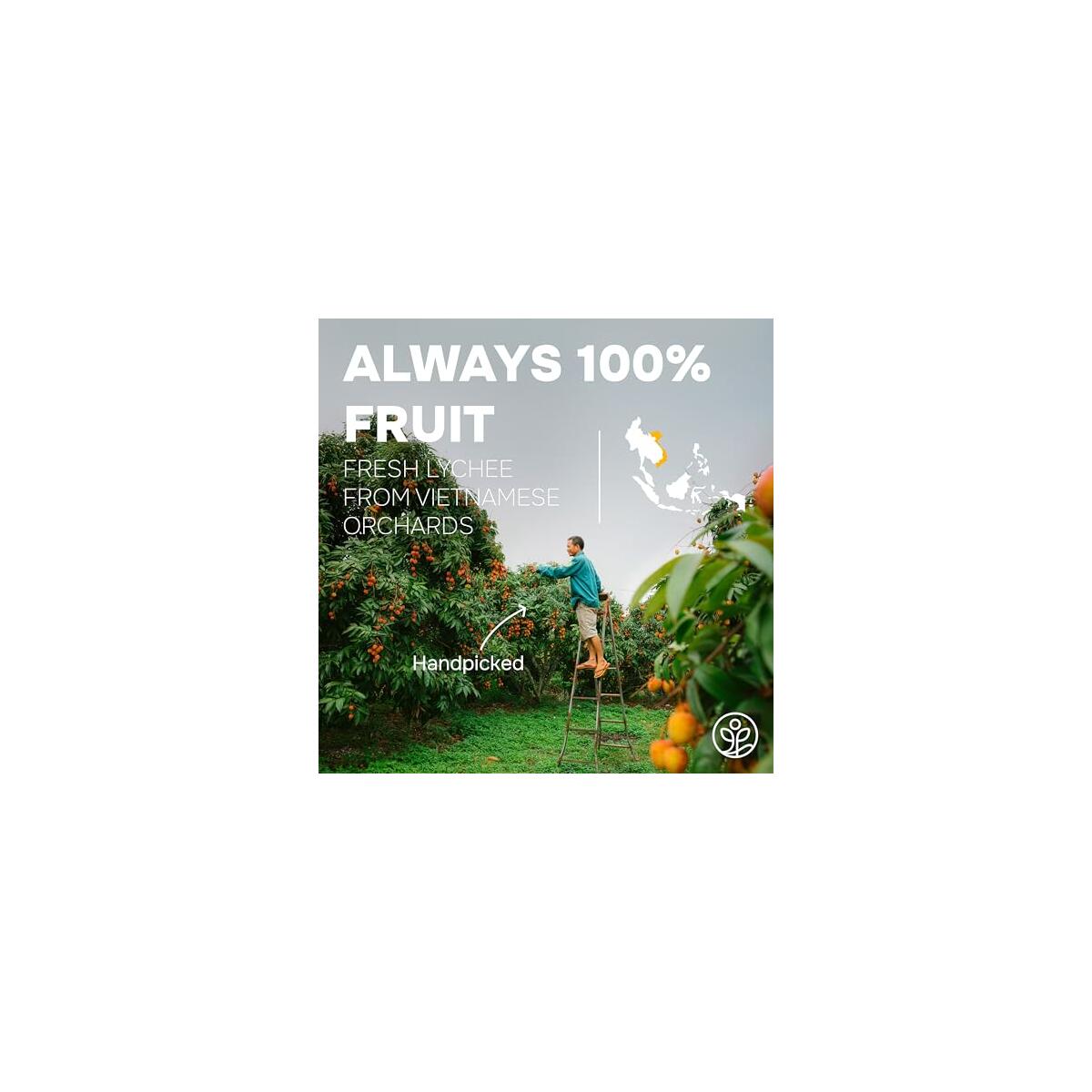 Jungle Powders Lychee Powder 1 Cashback - RebateKey