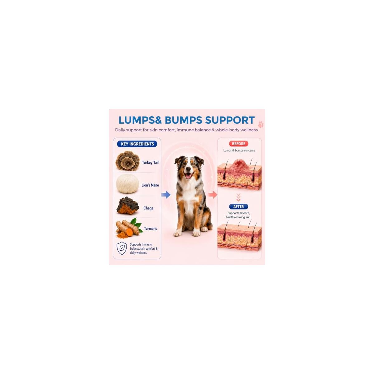 Turkey Tail Mushroom For Dogs Cats 1 Cash Back - RebateKey