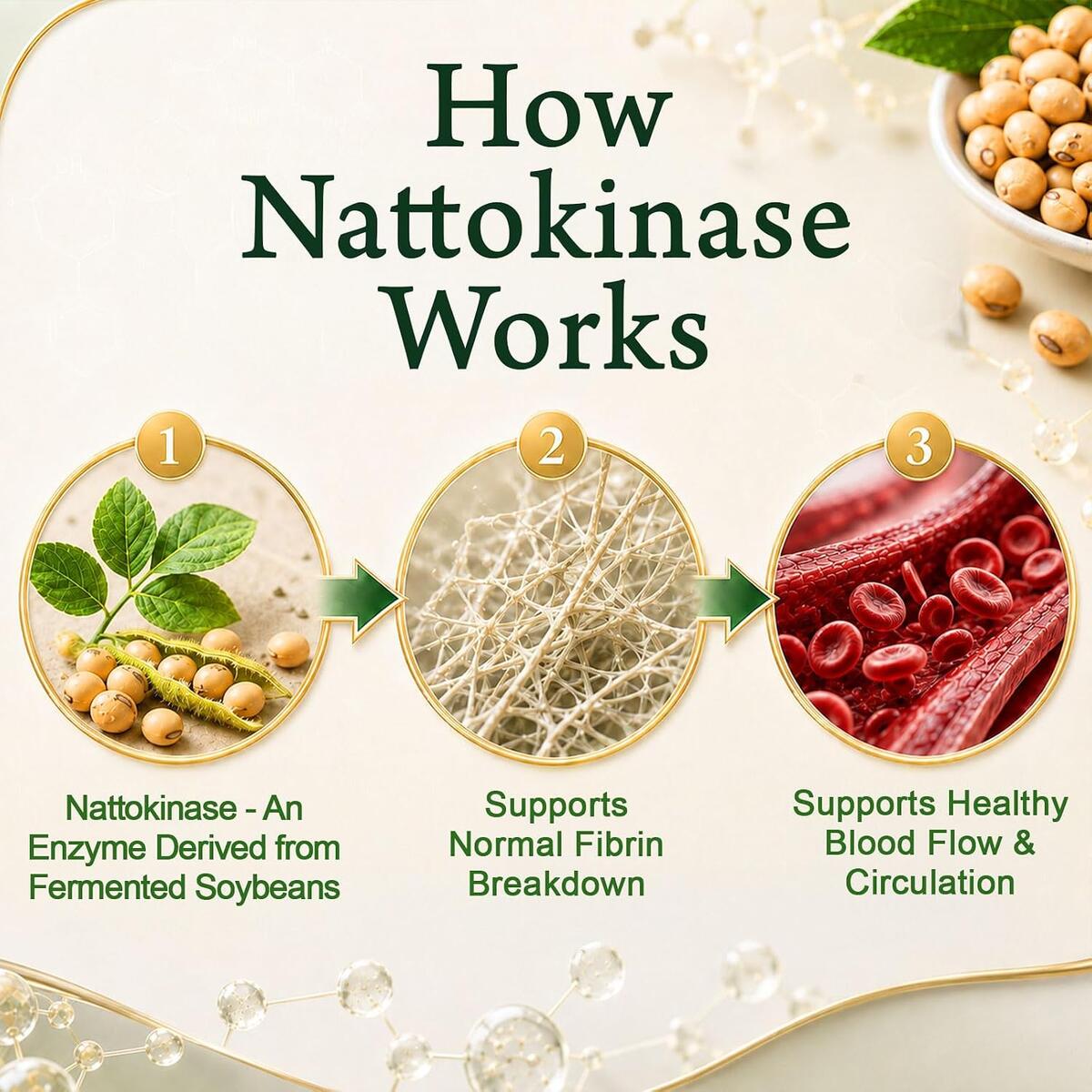 Nattokinase 1 Rebates - RebateKey
