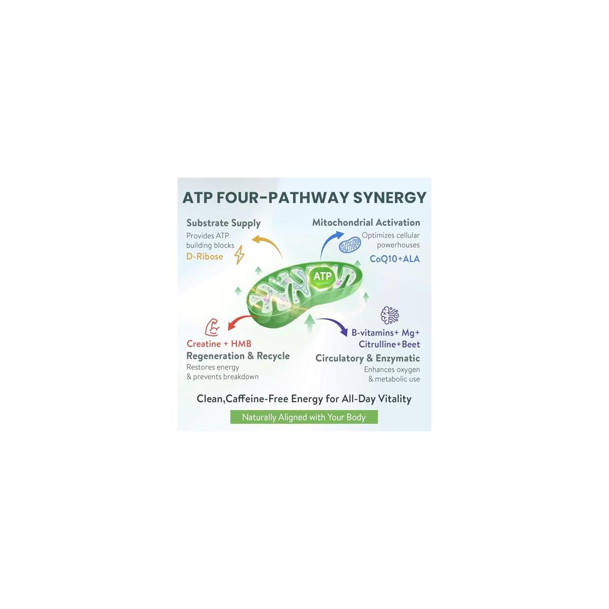 Atp Supplement Powder Rebate - RebateKey