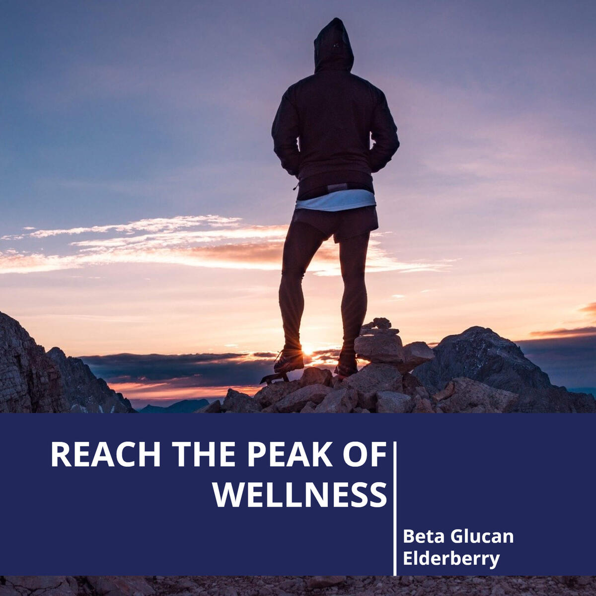 Immune System Support Cashback - RebateKey