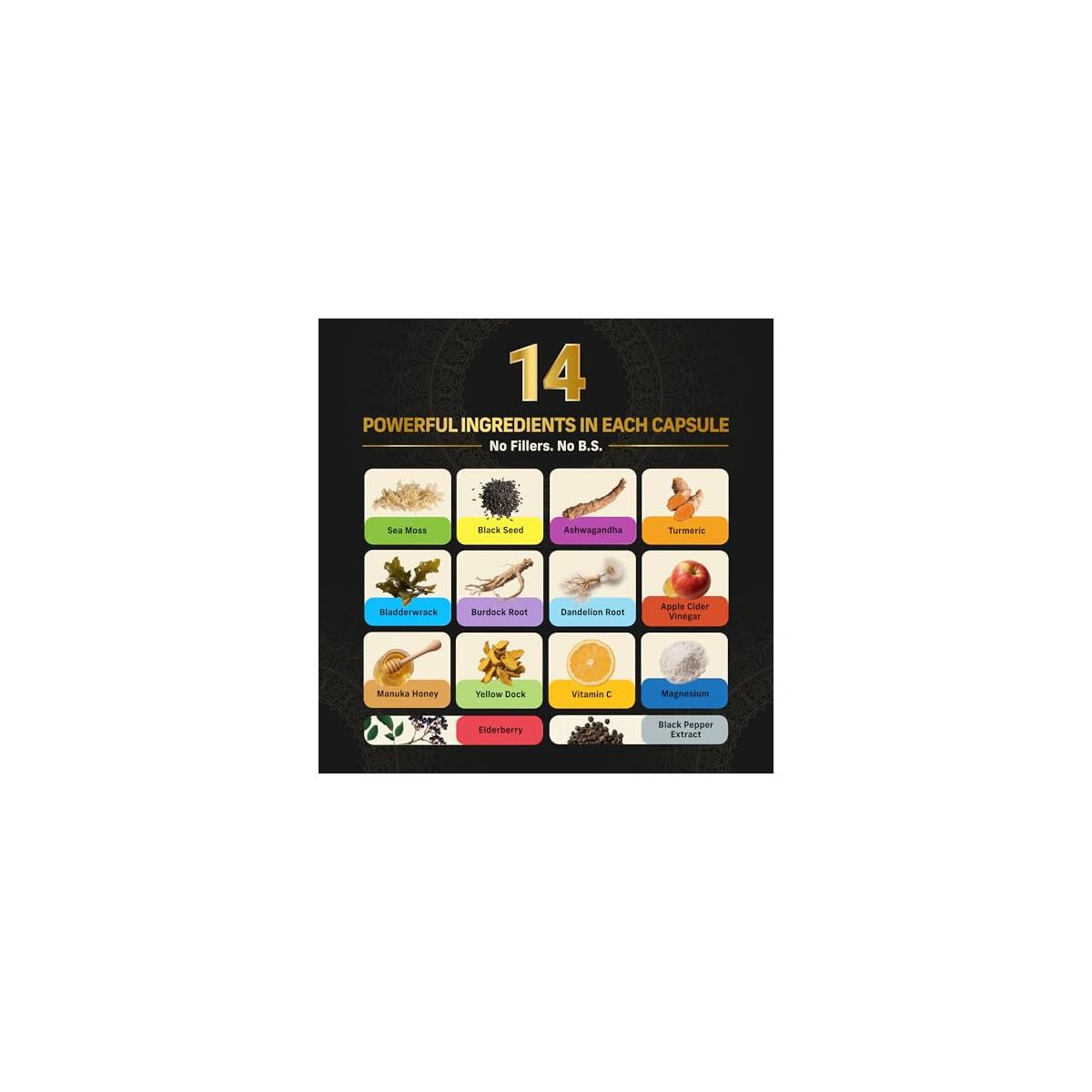 Multivitamin For Men With Seamoss Black Seed Cash Back - RebateKey