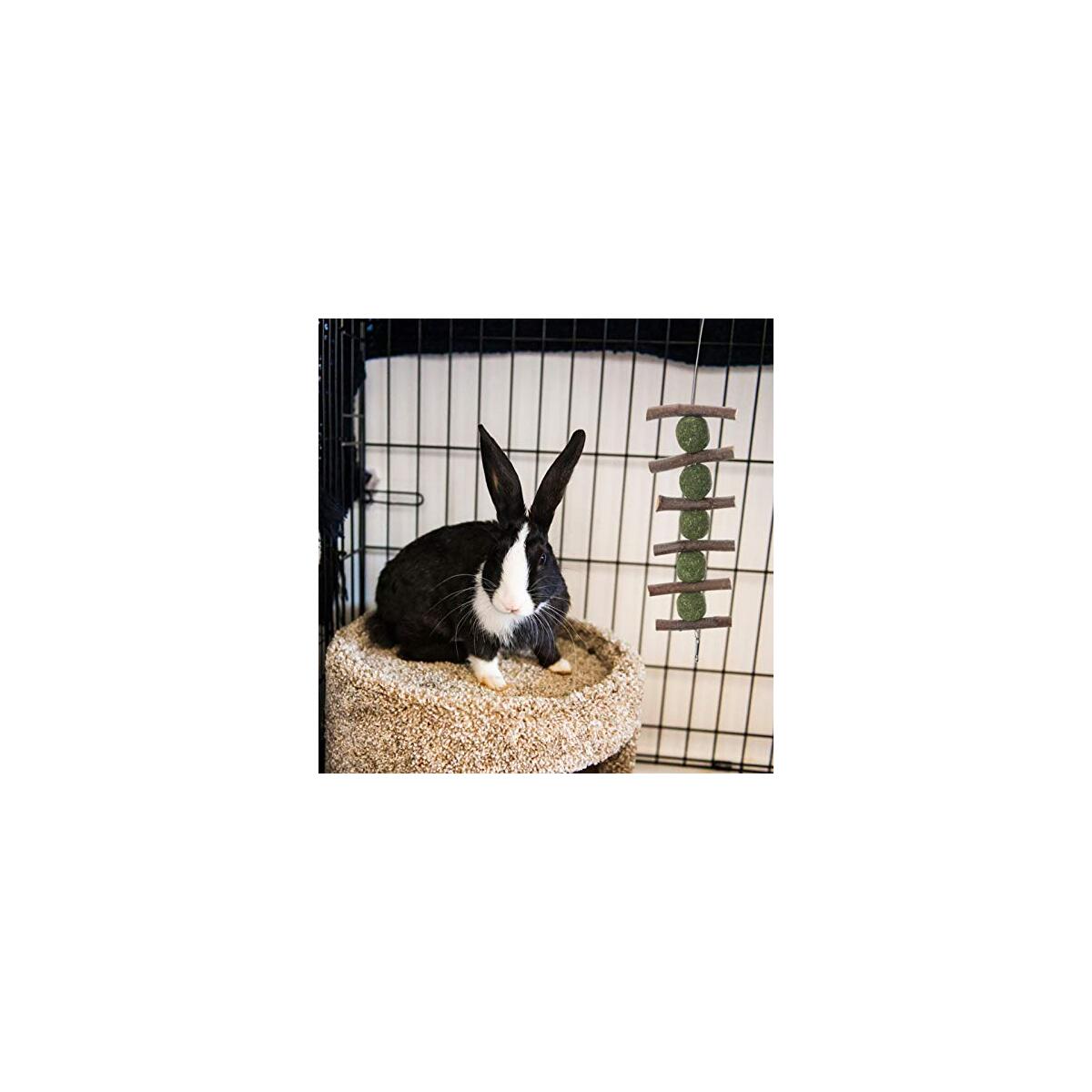 Rabbit Chew Toys Rebates - RebateKey
