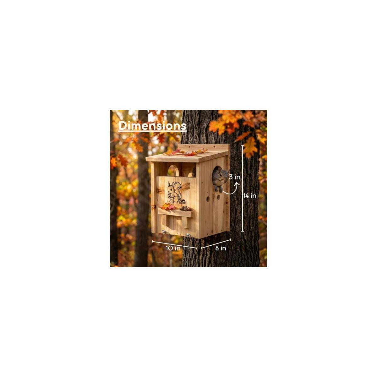 Squirrel House 1 Cashback Rebate - RebateKey
