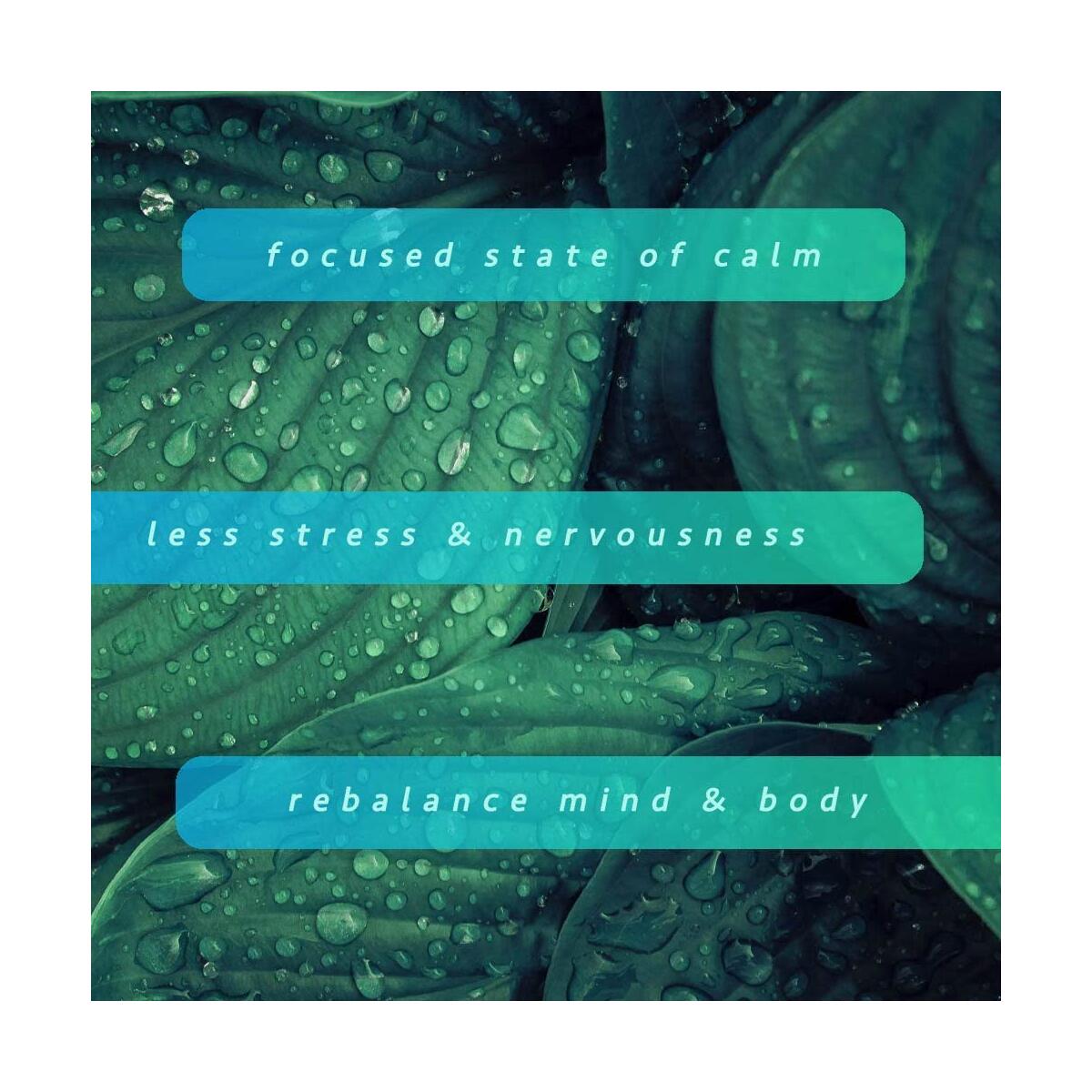 Mood Enhancer Cashback Rebate - RebateKey