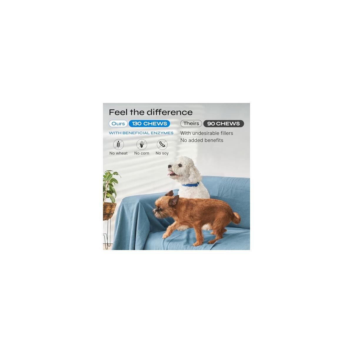 Dog Probiotic Chews 1 Cashback Rebates - RebateKey