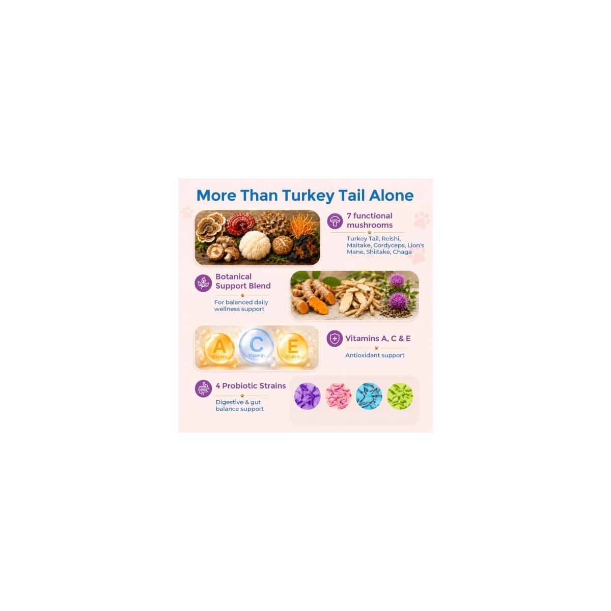 Turkey Tail Mushroom For Dogs Cats 1 Cash Back - RebateKey