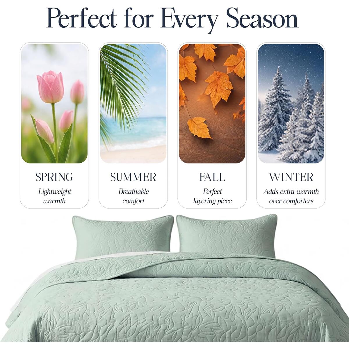 Aerosoles Diamond Embossed Cashback Rebate - RebateKey