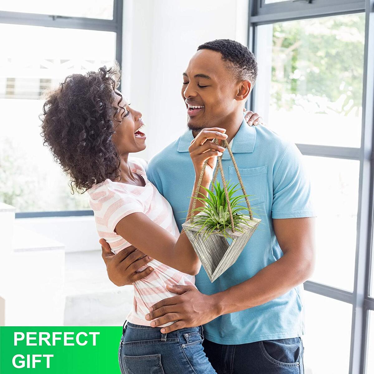 Air Plant Holder Cashback - RebateKey