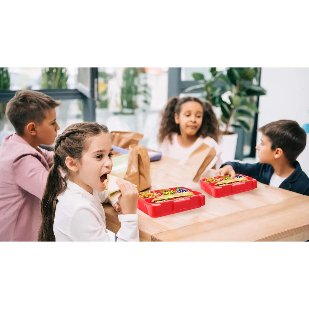 Large Bento Box Rebate - RebateKey